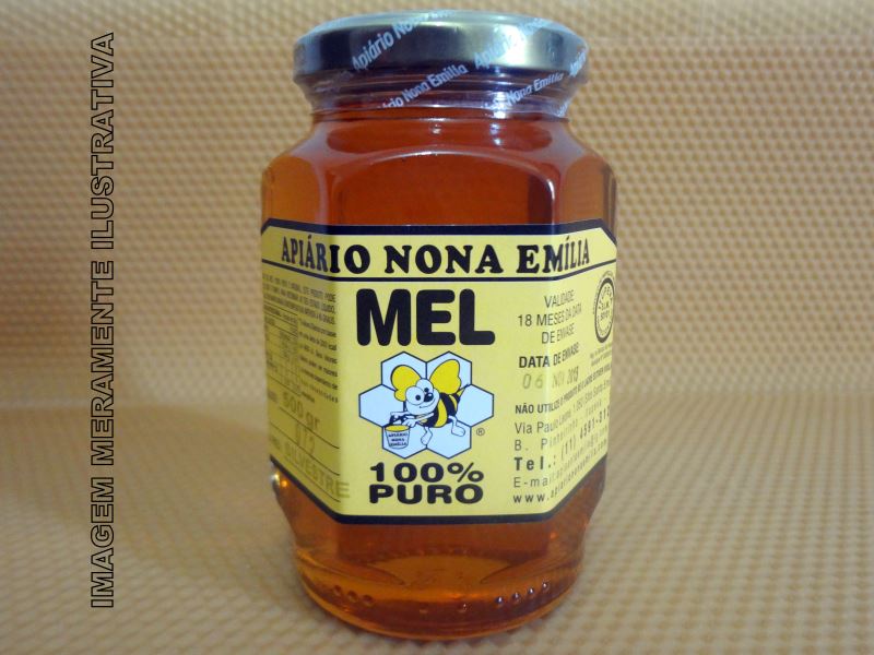 Mel silvestre - 500g